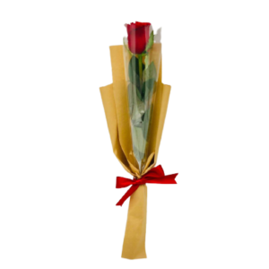Single Red Rose Bouquet
